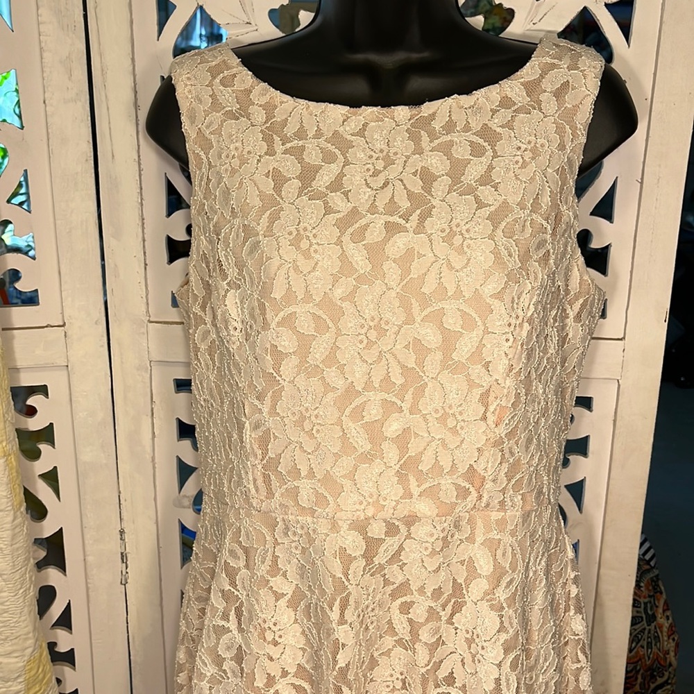Speechless- super flirty white floral lace with pink slip. Size xl